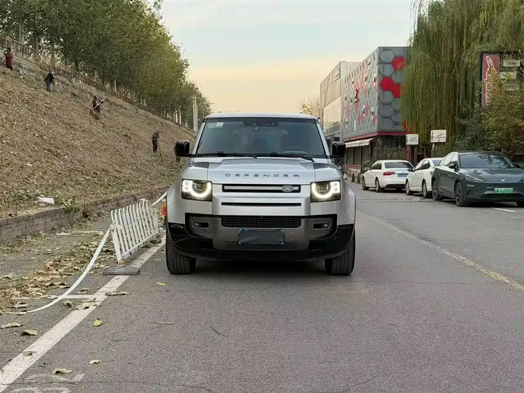 Land Rover Defender 2021 из CN, фото 2