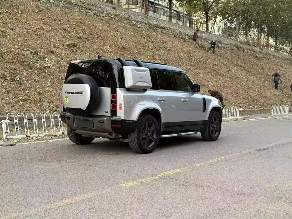 Land Rover Defender 2021 из CN, фото 4