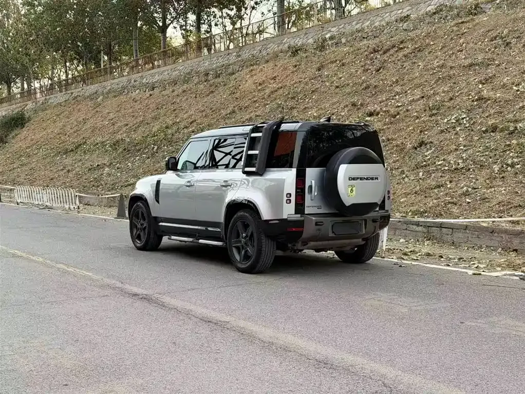 Land Rover Defender 2021 из CN, фото 5