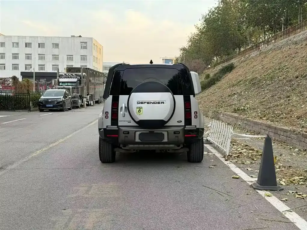 Land Rover Defender 2021 из CN, фото 6