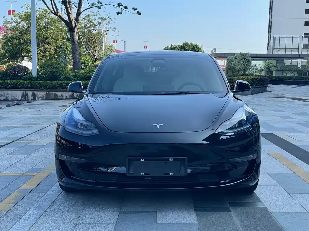 Tesla Model 3 2022 из CN, фото 2