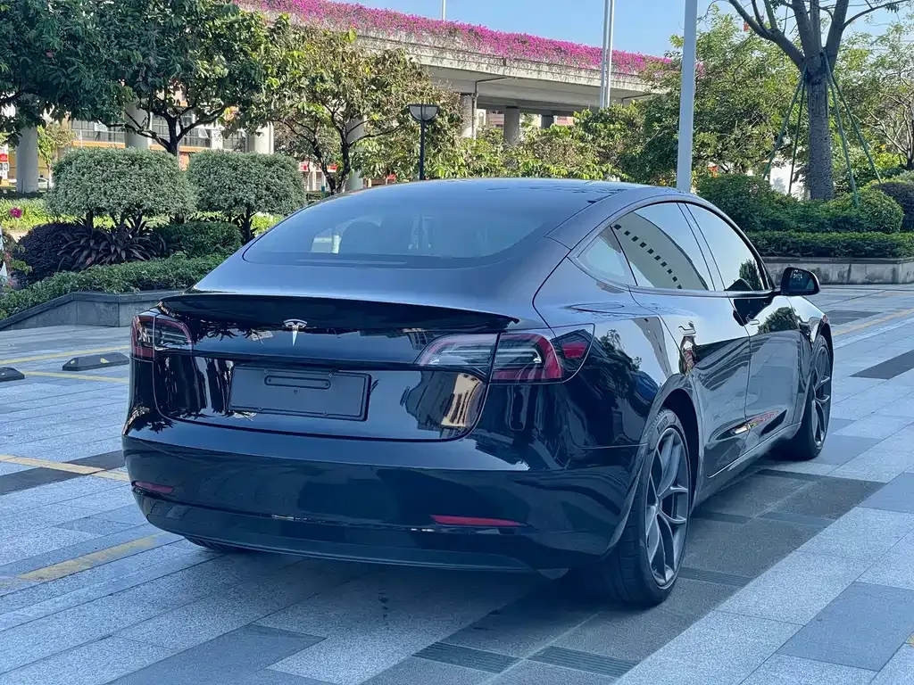 Tesla Model 3 2022 из CN, фото 3