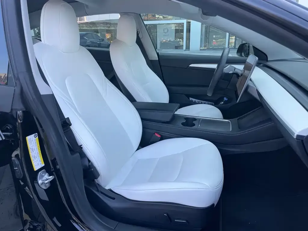 Tesla Model 3 2022 из CN, фото 7