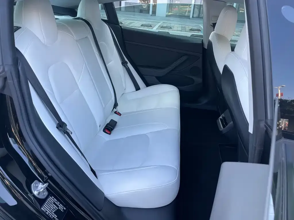 Tesla Model 3 2022 из CN, фото 9