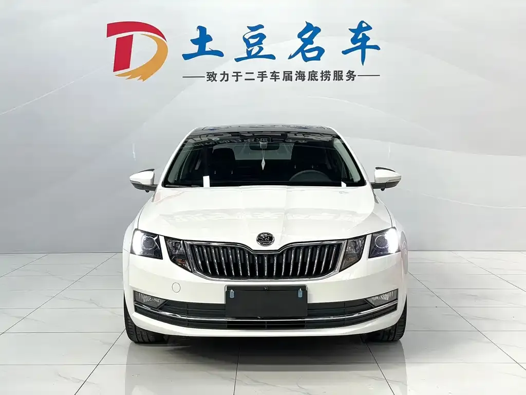 Skoda Octavia 2021 из CN, фото 2