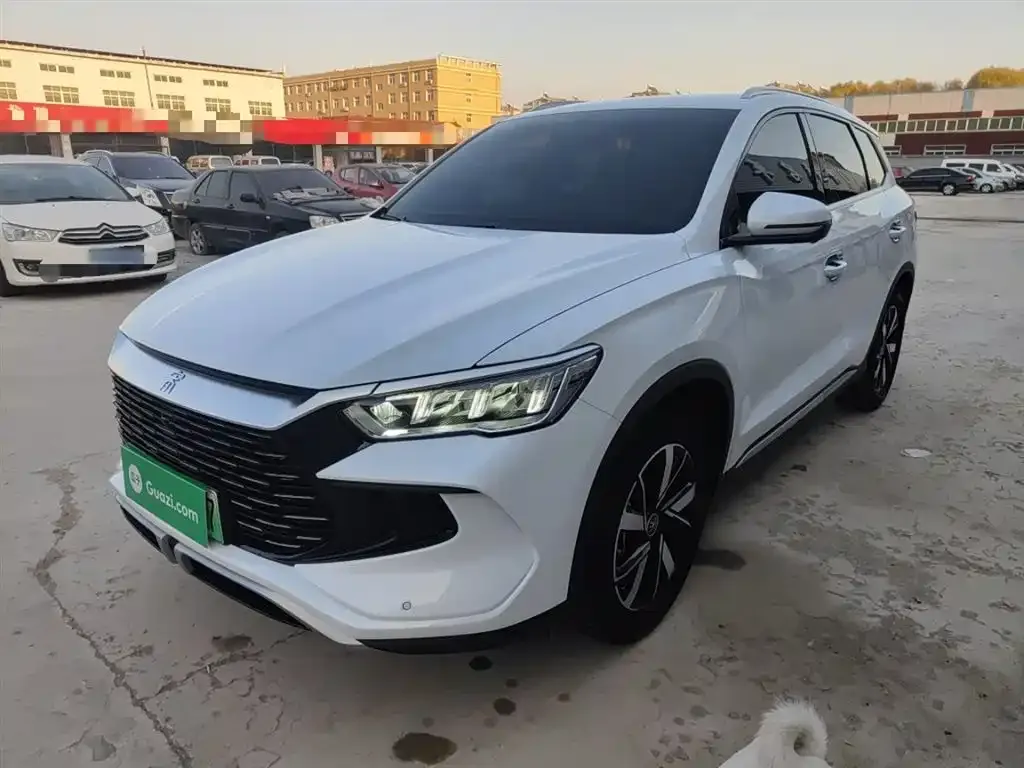 BYD Pro New Energy — фото 2