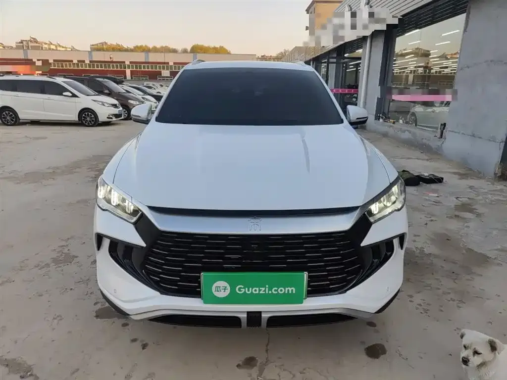 BYD Pro New Energy — фото 3
