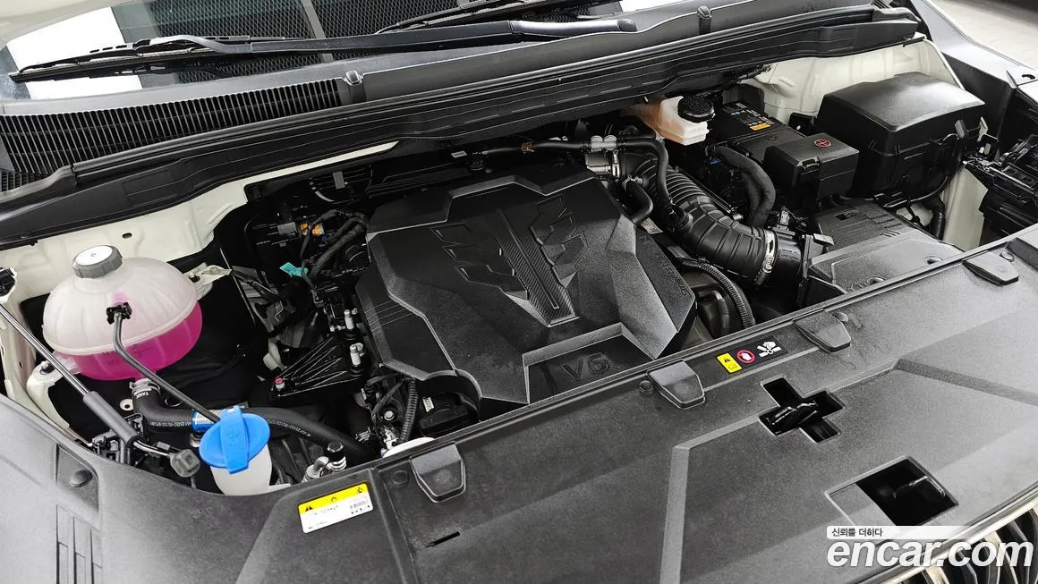 [object Object] Canival 2023 из KR, фото 6