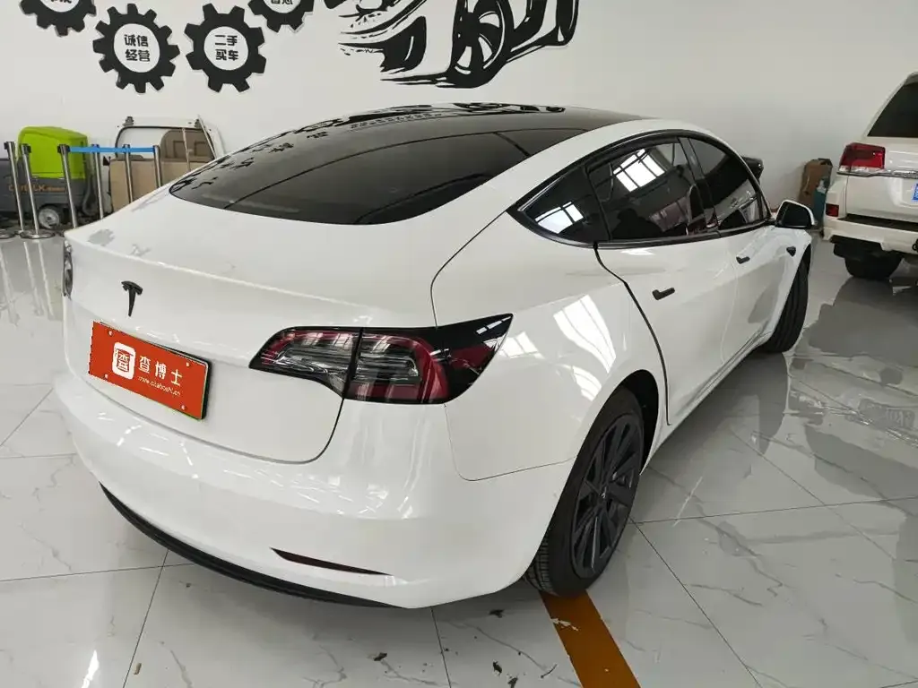 Tesla Model 3 2023 из CN, фото 4