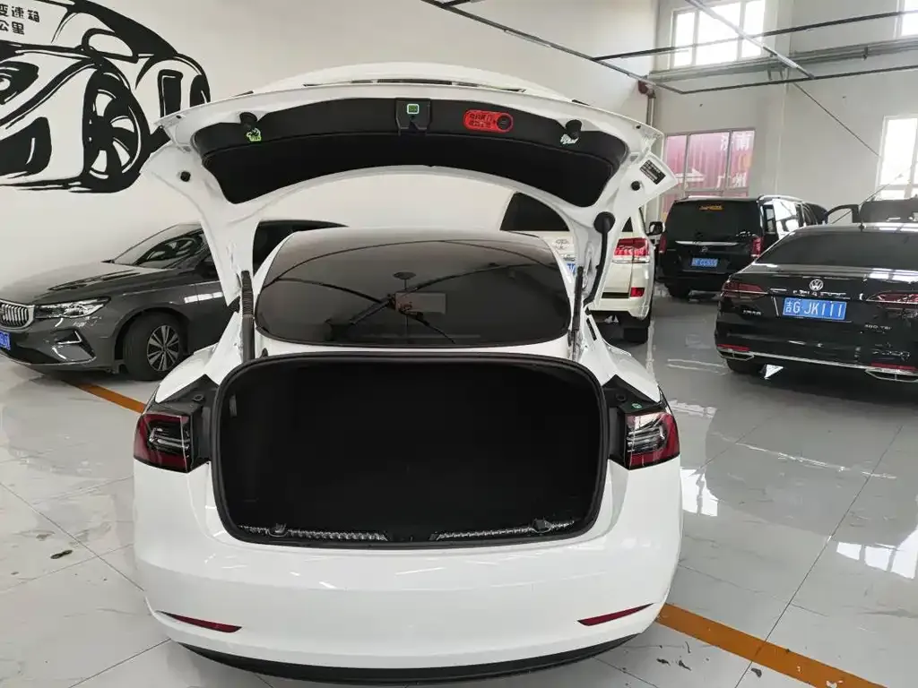 Tesla Model 3 2023 из CN, фото 9