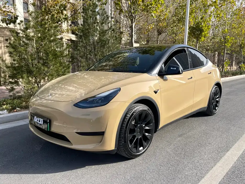 Tesla Model Y 2023 из CN, фото 1