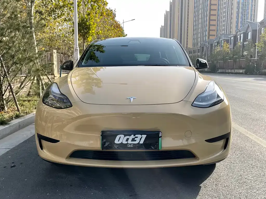 Tesla Model Y 2023 из CN, фото 2