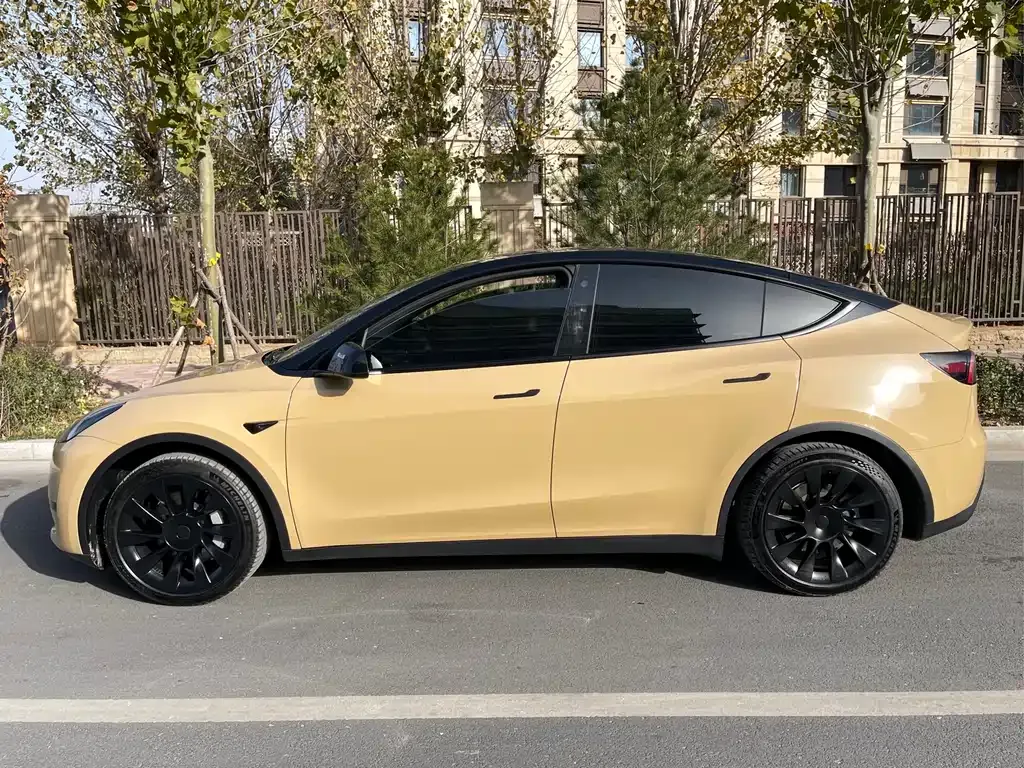 Tesla Model Y 2023 из CN, фото 4