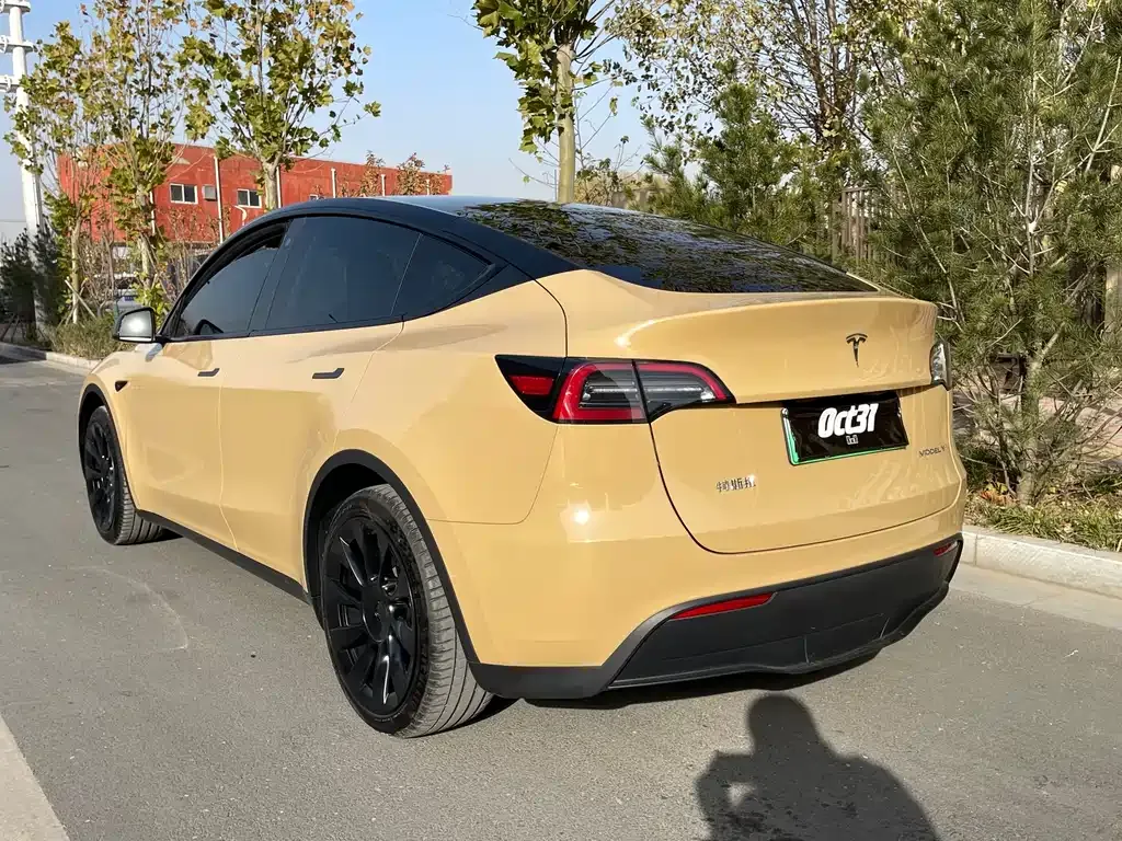 Tesla Model Y 2023 из CN, фото 5