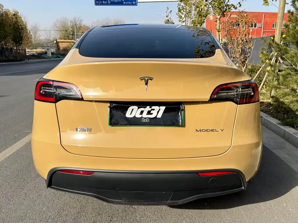 Tesla Model Y 2023 из CN, фото 6