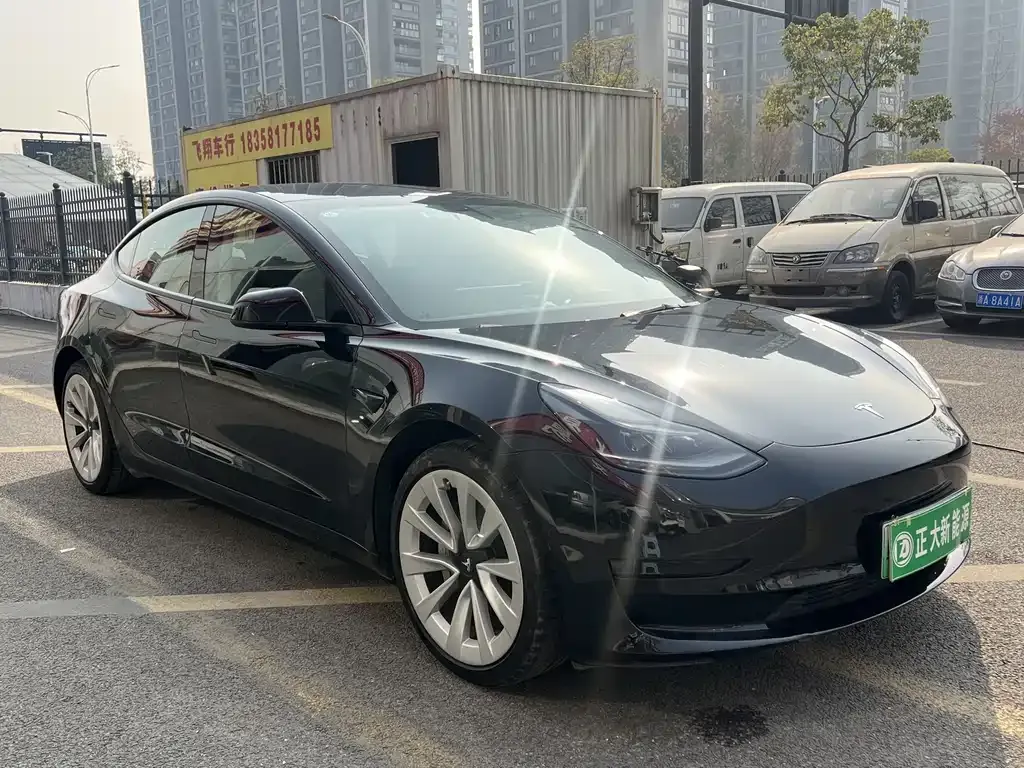 Tesla Model 3 2021 из CN, фото 2