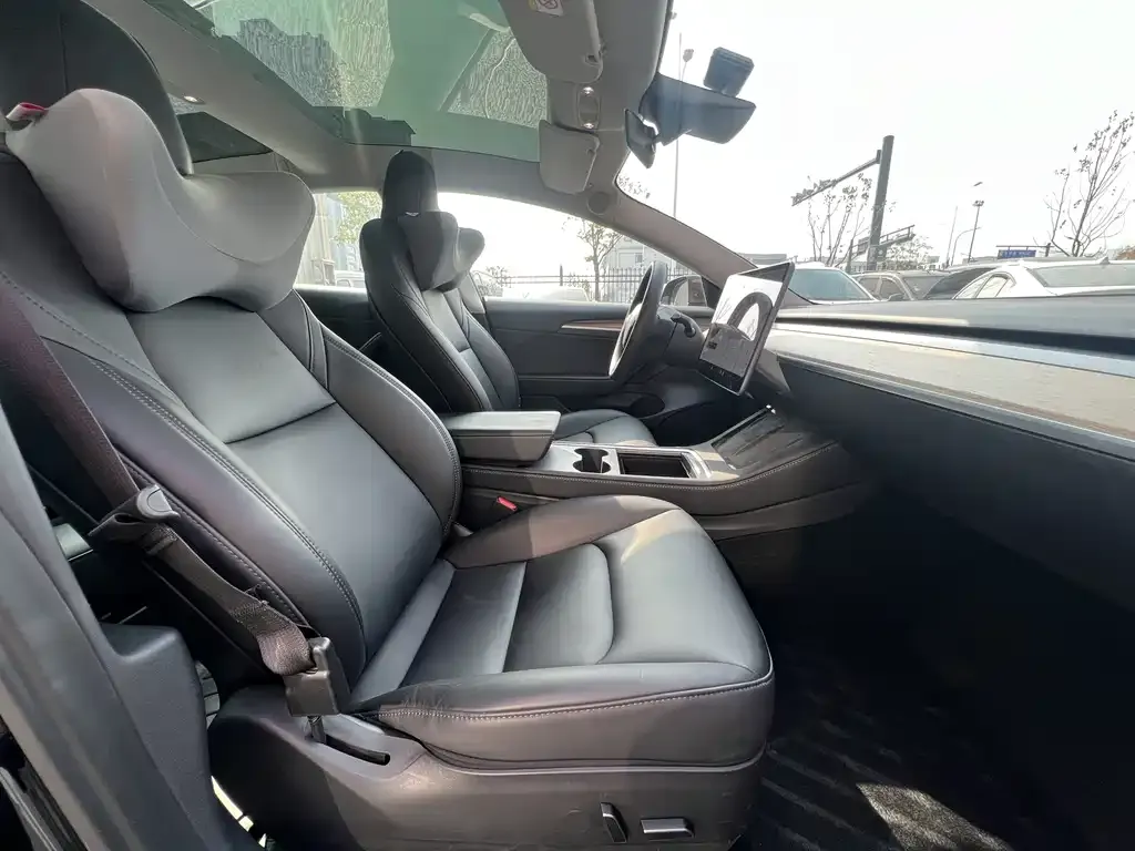 Tesla Model 3 2021 из CN, фото 5