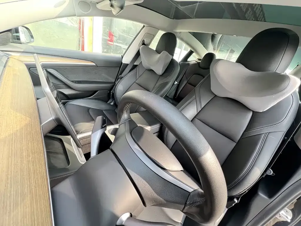 Tesla Model 3 2021 из CN, фото 6