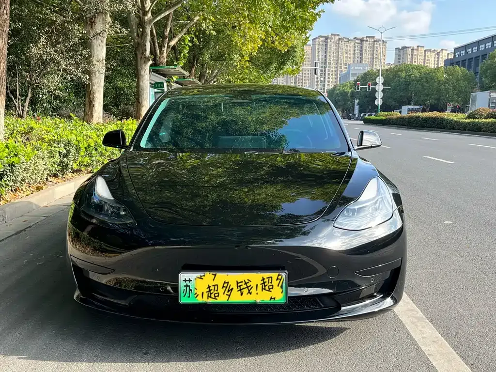 Tesla Model 3 2023 из CN, фото 2