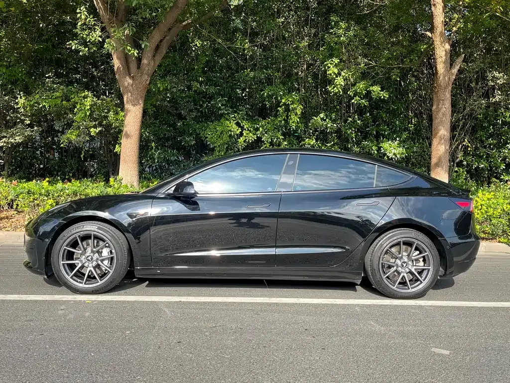 Tesla Model 3 2023 из CN, фото 3