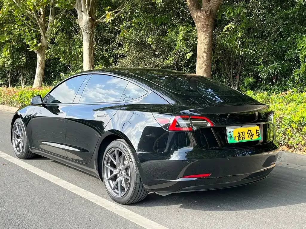 Tesla Model 3 2023 из CN, фото 4