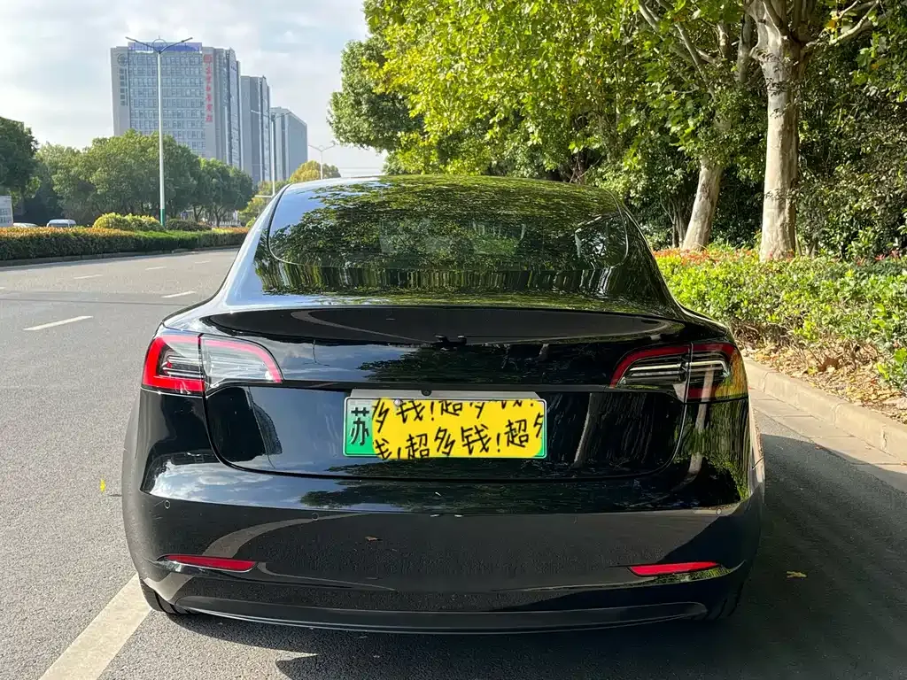 Tesla Model 3 2023 из CN, фото 5