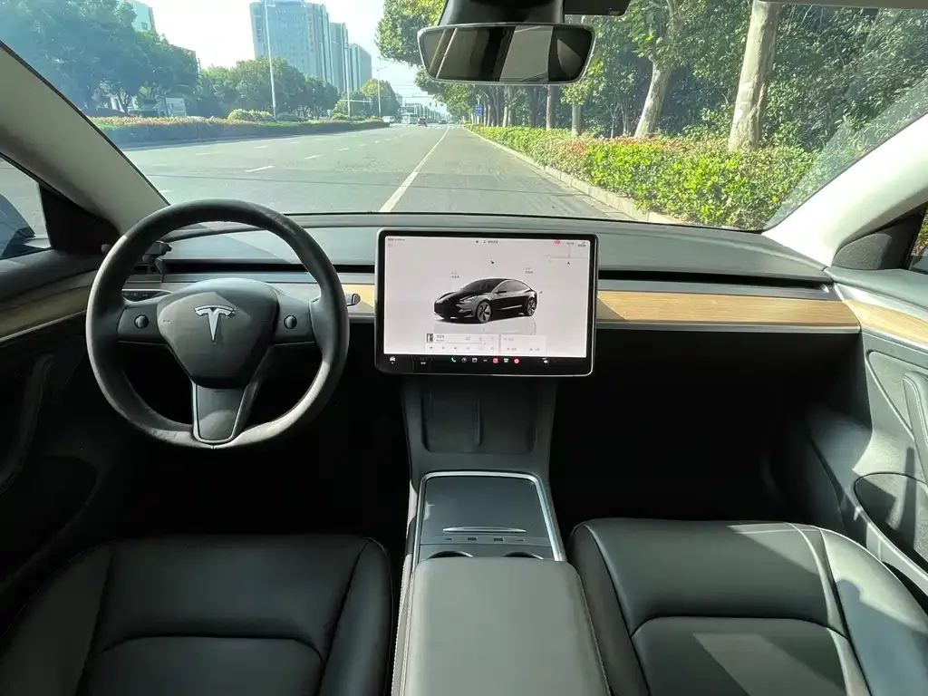 Tesla Model 3 2023 из CN, фото 7