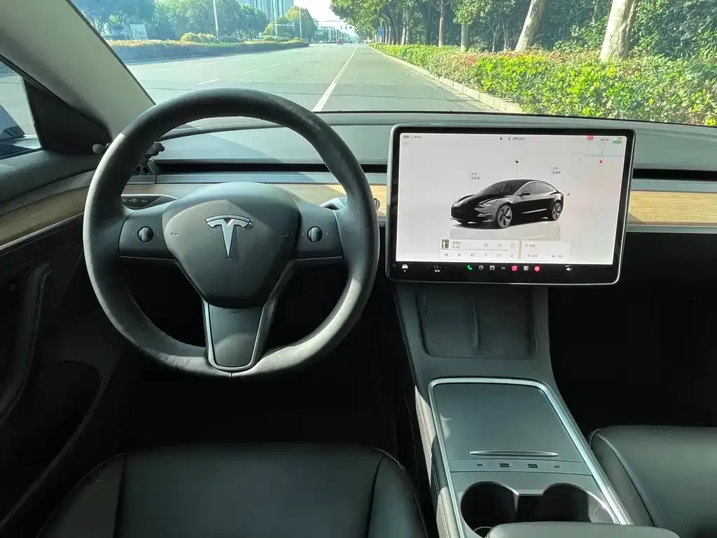 Tesla Model 3 2023 из CN, фото 8