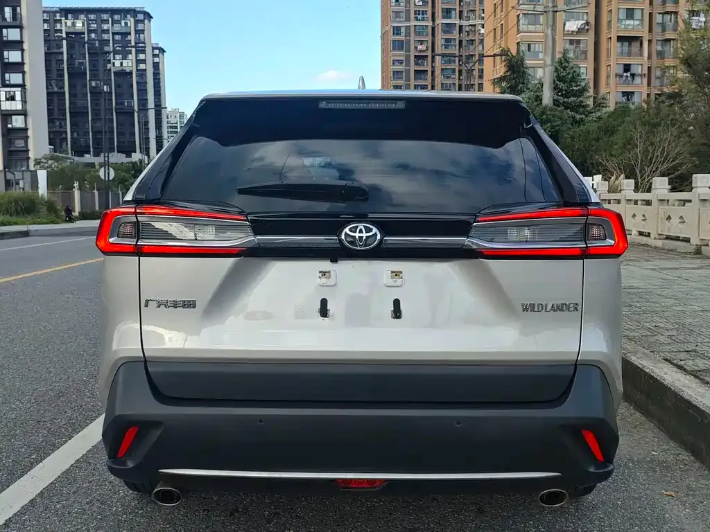 Toyota Wildlander 2022 из CN, фото 4