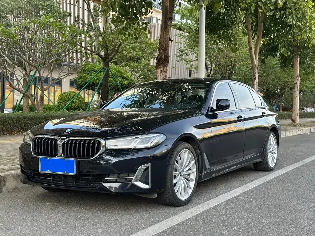 BMW 5 Series 2022 из CN, фото 1
