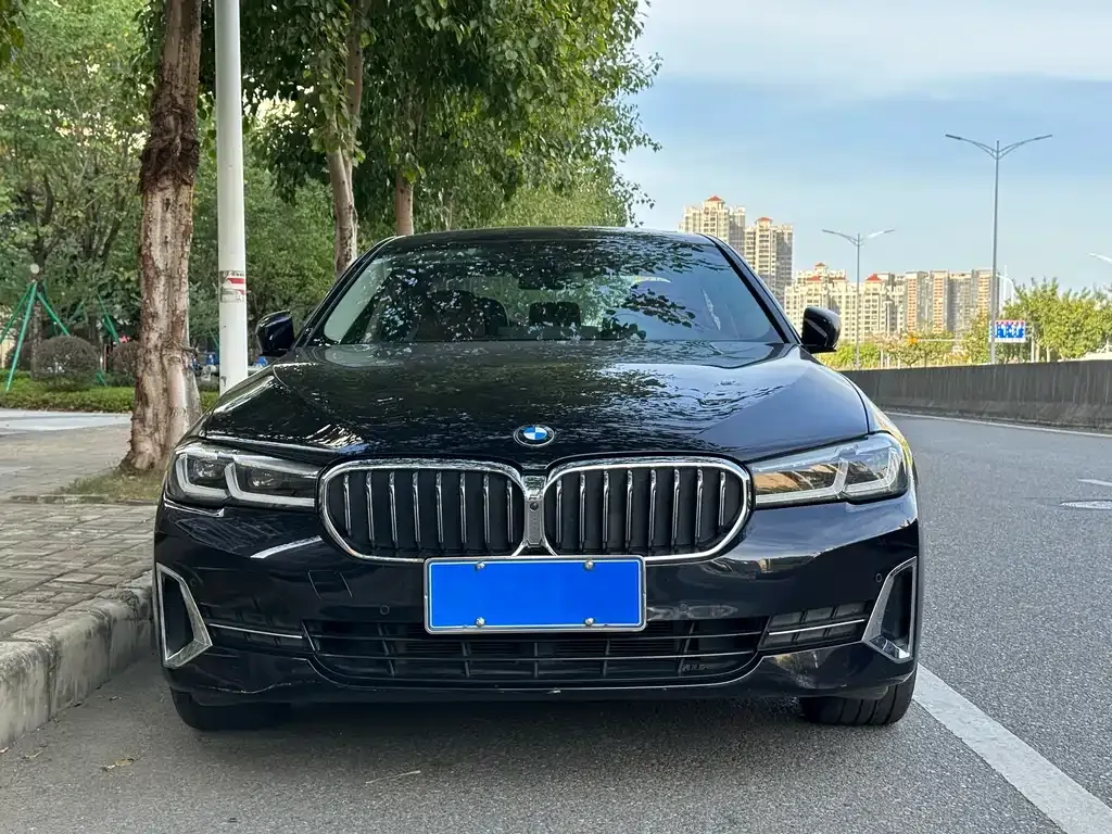 BMW 5 Series 2022 из CN, фото 6
