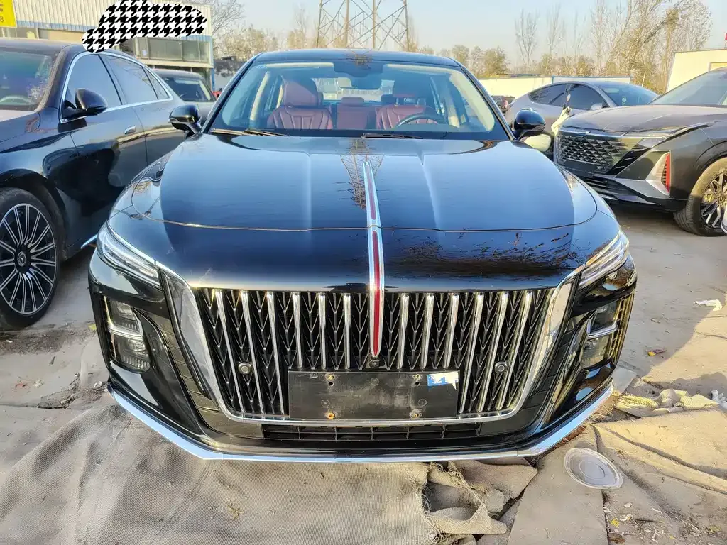 Hongqi H5 2023 из CN, фото 2