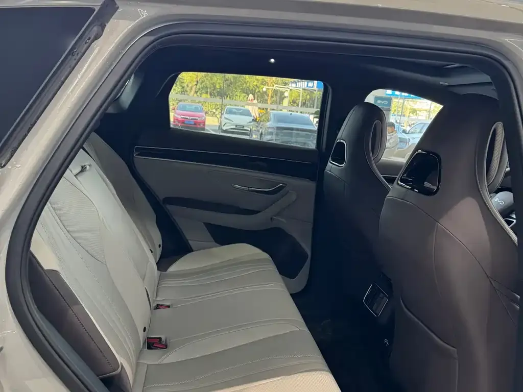 BYD PLUS New Energy 2025 из CN, фото 10