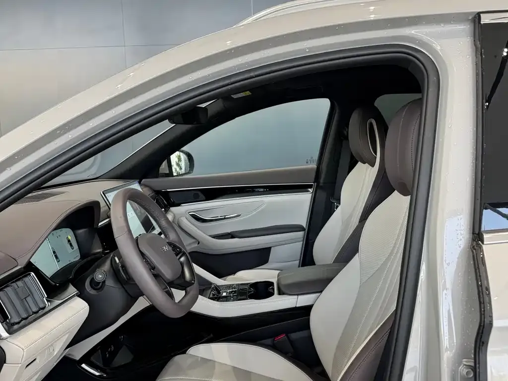 BYD PLUS New Energy 2025 из CN, фото 4