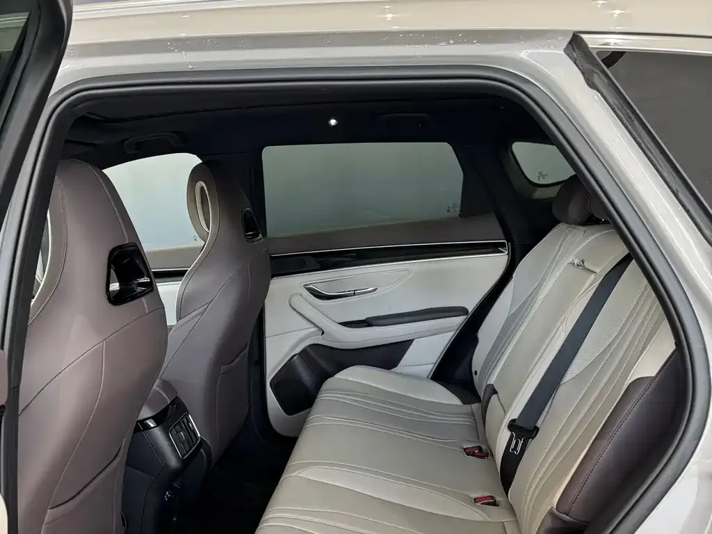 BYD PLUS New Energy 2025 из CN, фото 5