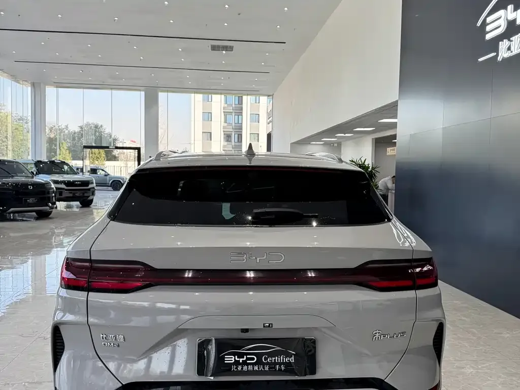 BYD PLUS New Energy 2025 из CN, фото 7