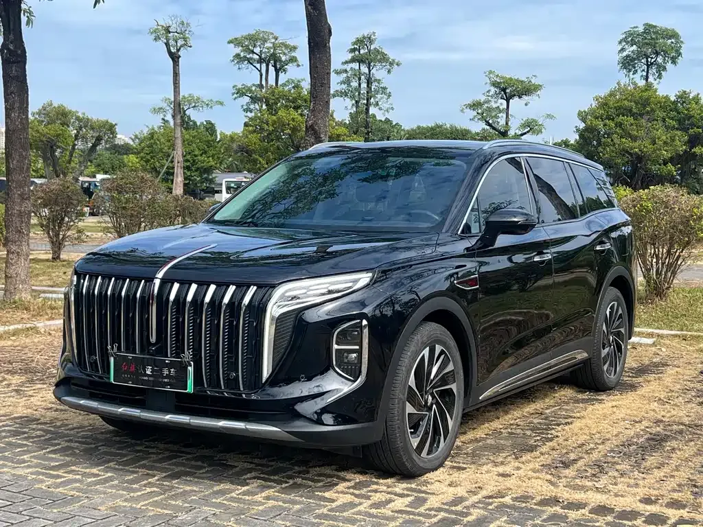 Hongqi HS7 PHEV 2024 из CN, фото 1