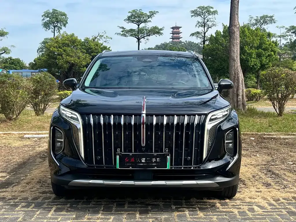 Hongqi HS7 PHEV 2024 из CN, фото 2