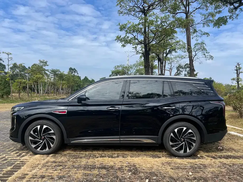 Hongqi HS7 PHEV 2024 из CN, фото 3
