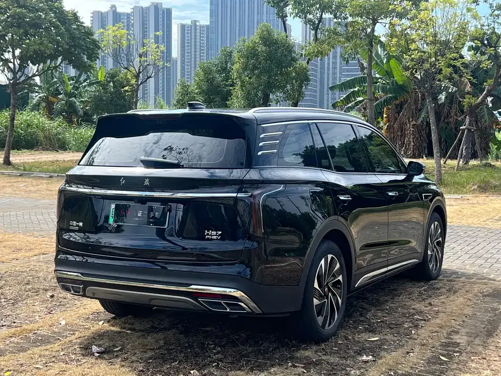 Hongqi HS7 PHEV 2024 из CN, фото 4