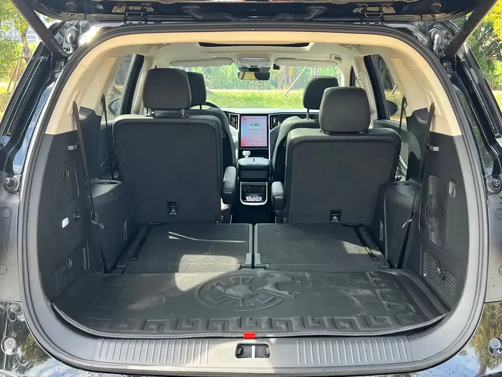 Hongqi HS7 PHEV 2024 из CN, фото 8
