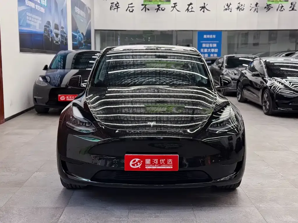 Tesla Model Y 2023 из CN, фото 2