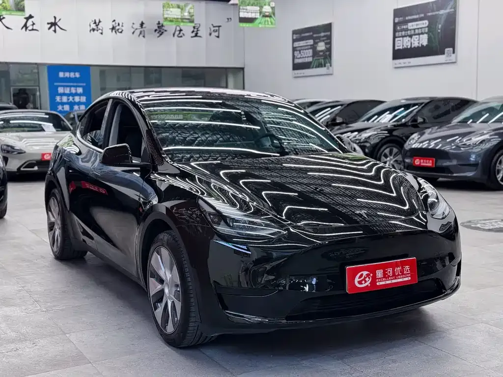 Tesla Model Y 2023 из CN, фото 3