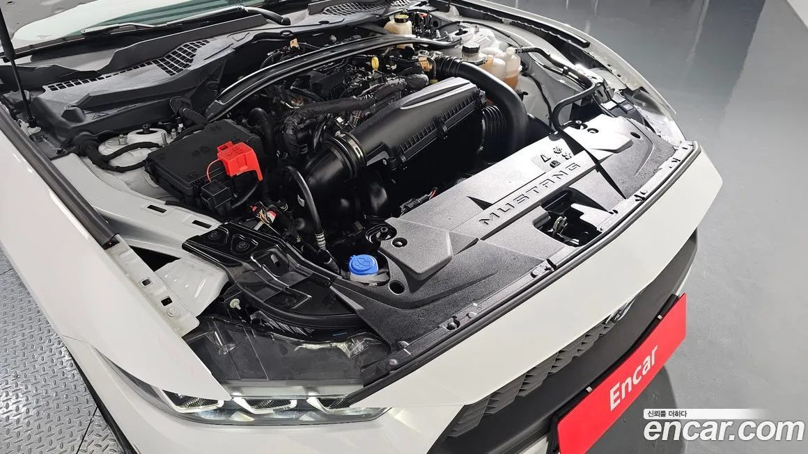Ford Mustang 2024 из KR, фото 6