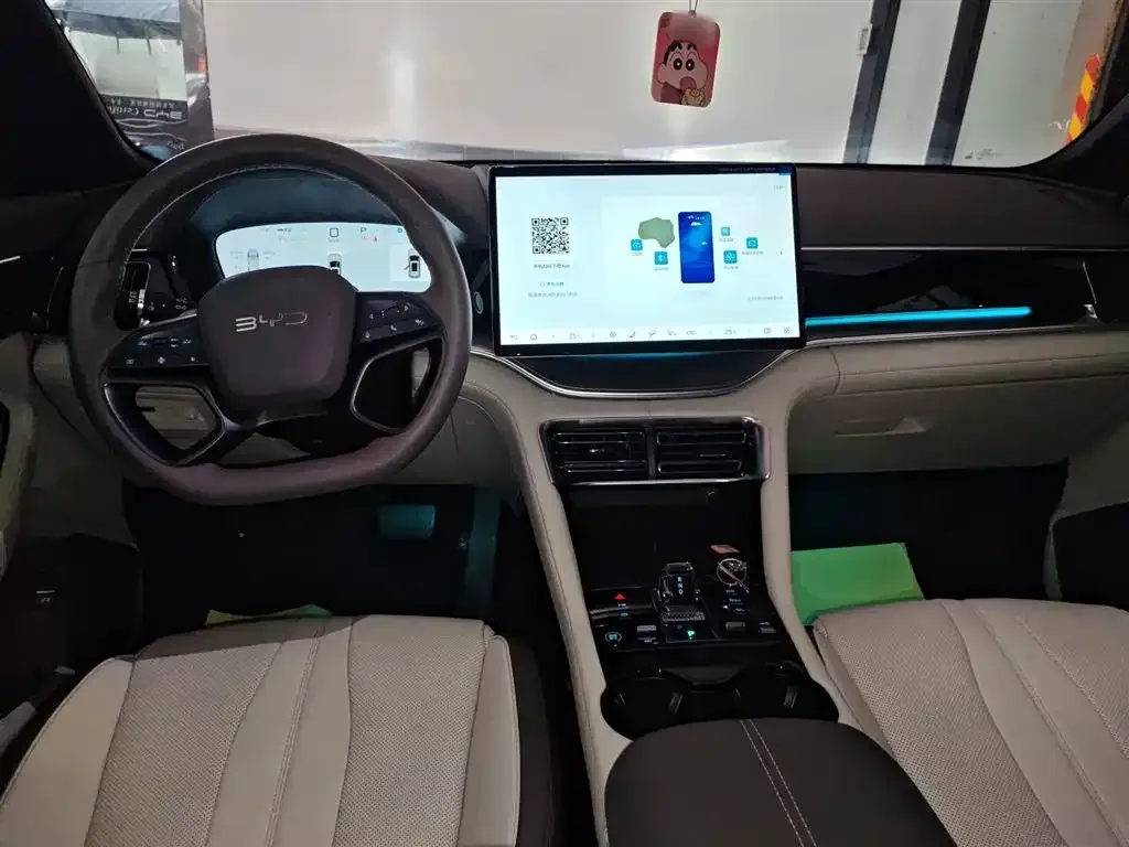 BYD PLUS New Energy 2025 из CN, фото 10