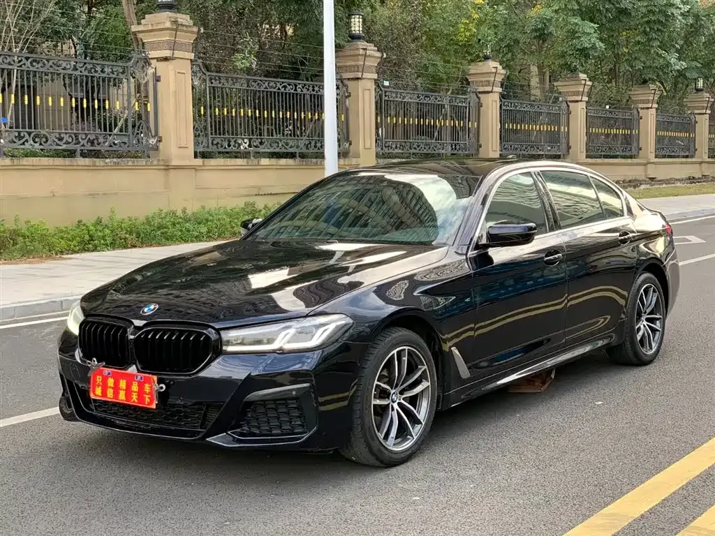 BMW 5 Series 2021 из CN, фото 1