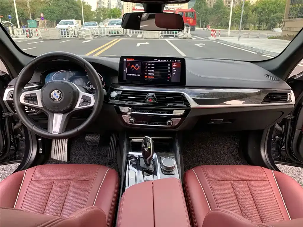 BMW 5 Series 2021 из CN, фото 10