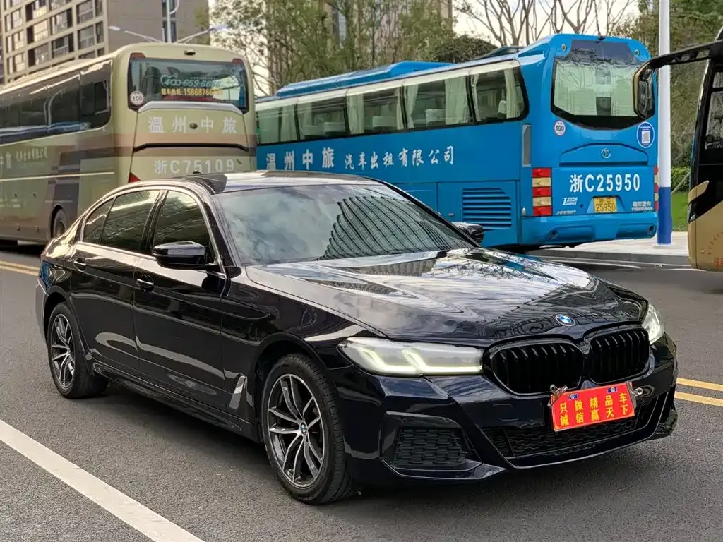 BMW 5 Series 2021 из CN, фото 3