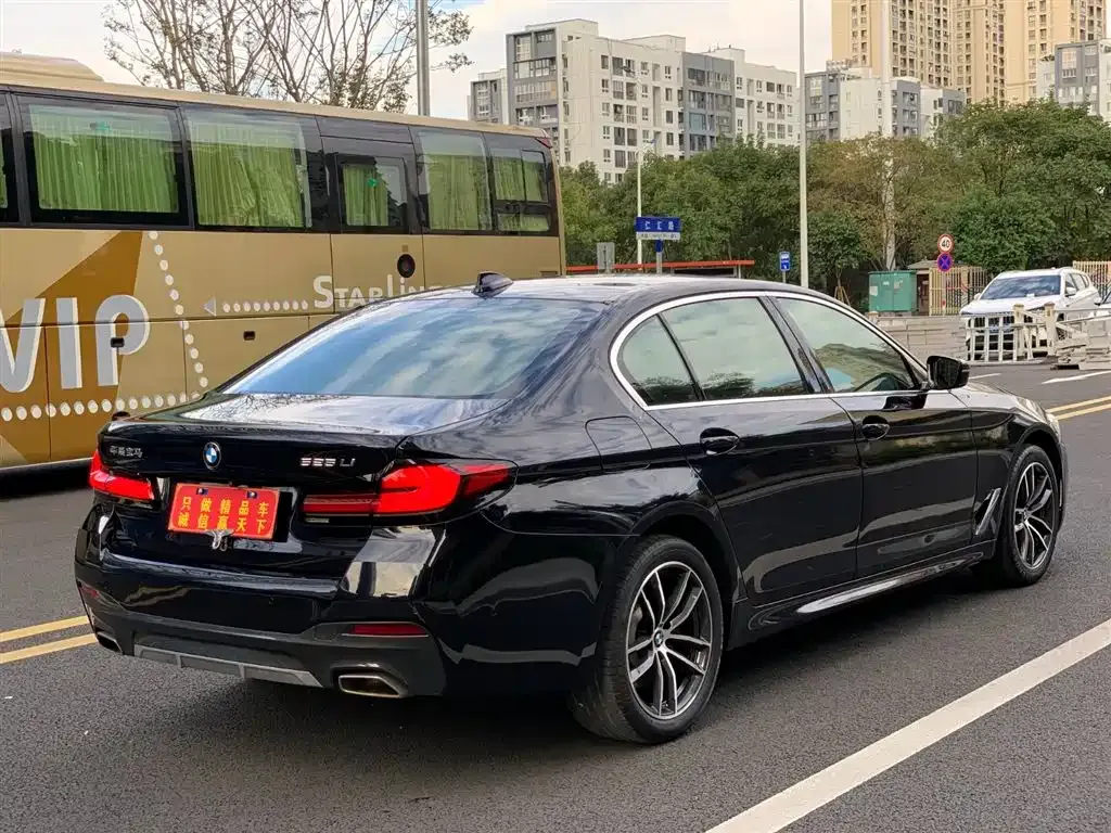 BMW 5 Series 2021 из CN, фото 4
