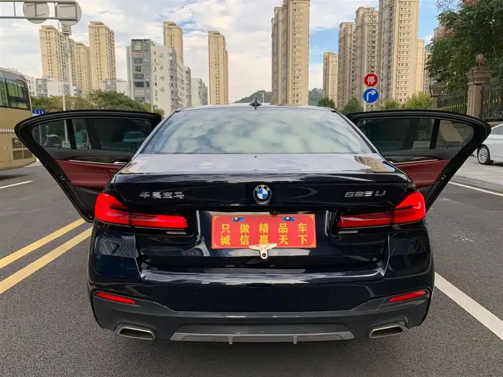 BMW 5 Series 2021 из CN, фото 5